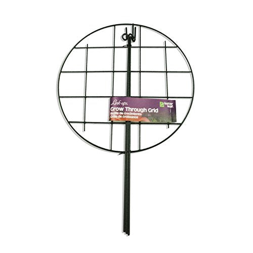 16” Grow Through Grid w/ 24” legs - style: 16” Grid