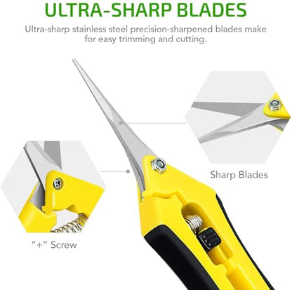 iPower 6.5'' 3 Pack Garden Hand Pruner Shears with Straight Stainless Steel Scissors, for Hydroponic Trimming Herb/Flowers/Vegetables/Plants, Yellow