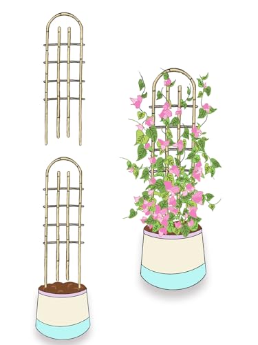 Bamboo Trellis,U-Shape Bamboo Trellis,3Feet,3pack,Trellis for Climbing Plants Outdoor Bamboo,for,Climbing Plants,Tomato, Vegetables,Flowers, Beans, Cucumber,Indoor Potted Climb Plants - style: U-Shape,3Ft,3Pack