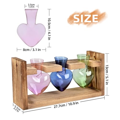 Plant Terrarium Propagation Stations Hydroponics - color: Mixed Color