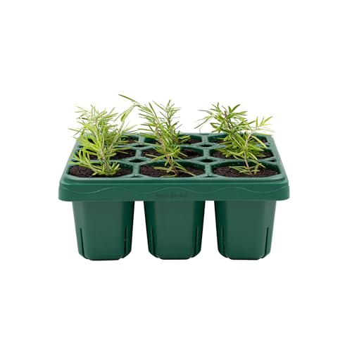 Vego garden Giga Seedling Trays - 8 Pack, 9-Cell UV-Resistant Reusable Starter Trays for Greenhouse/Garden (No Lids) - size: 8 Packs, style: 9 Cells Giga Size