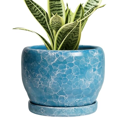 SQOWL 6 Inch Plant Pot - Ceramic Indoor Planter with Drainage Hole and Saucer, Decorative Ceramic Flower Pot Outdoor, Round Succulent Planter, Home Office Room Decor, Gifts for Plant Lovers, Blue - color: Blue Sapphire, size: 6 Inch