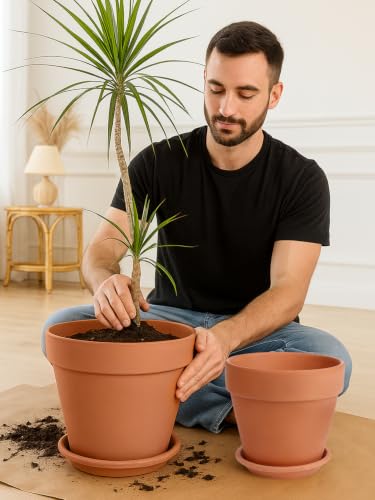 INGOFIN Terracotta Pot with Saucer 10&12 Inch - Ceramic Clay Pot for Plants with Drainage Hole, Large Terra Cotta Flower Planter with Tray for Indoor Outdoor Plants - size: 10/12 inch -2 pcs