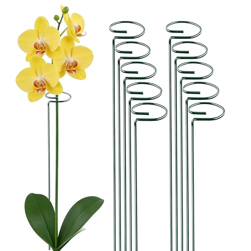 10 Pieces 24 inch Green Single Stem Plant Stakes Flower Support Rings,Gardening Planter Cages for Single Stem Flowers, Amaryllis, Peony, Lily,Narcissus - color: Green-24-inch 10pack