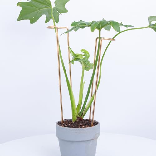 12" Monstera Support - 10 Pcs Plant Support for Indoor Plants - color: Gold, size: 12 Inch H