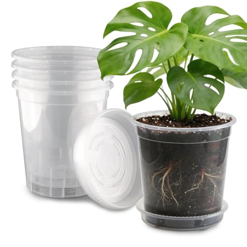 BTPLASTIK 2.5 Gallon Clear Nursery Pots with Saucers 5P, 10 Inch Round Plastic Plant Pots with Drainage Holes - size: 2.5 Gallon + Saucers 5P