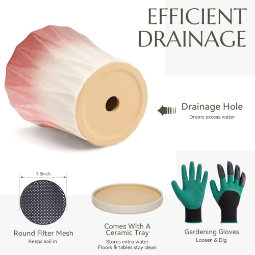 Ceramic Pots for Plants with Saucer(Pink, 6.7 Inch) - color: Pink, size: 6.7 Inch