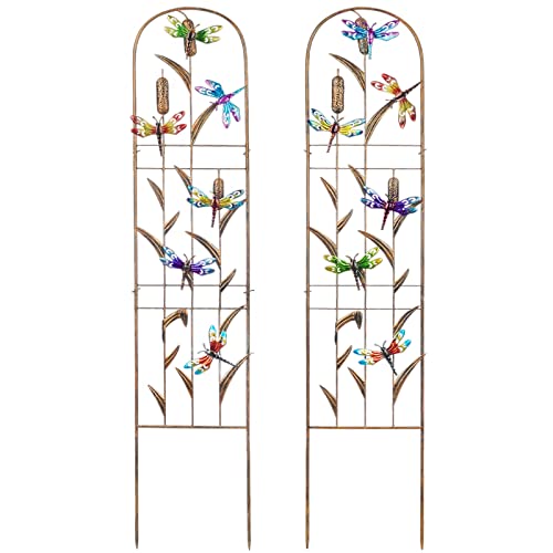 2 Pack Metal Garden Trellis for Climbing Plants - color: Dragonfly