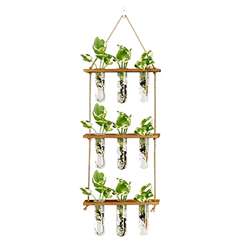 XXXFLOWER Wall Hanging Propagation Station with Wooden Stand Glass Test Tubes Tiered Planters Wall Terrarium for Home Office Plant Hanger Flower Vases Wall Decor Hydroponic Cuttings (9 Tube Vases) - color: Brown, size: 9 Tube Vases