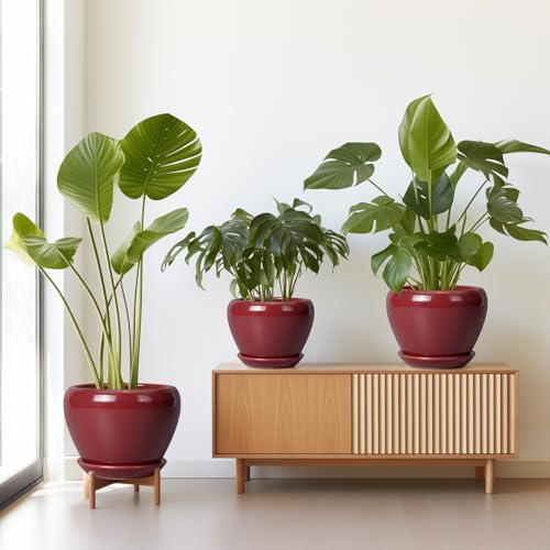 Ceramic Pots for Plants - 10 Inch 8 Inch 6 Inch Plant Pots with Drainage Holes and Saucers Large Planters for Indoor Plants Decorative Outdoor Flower Pots Set of 3 Red - color: Red