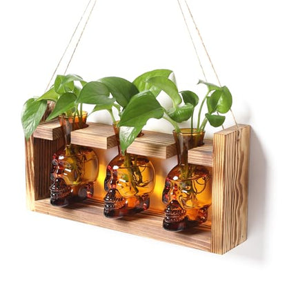 Plant Terrarium Propagation Stations Skull Planter Vase Skulls Decor - color: Amber