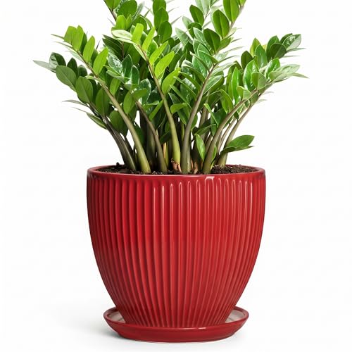 10 Inch Plant Pot, Ceramic Planters with Saucer, Red - color: Red, size: 10 Inch