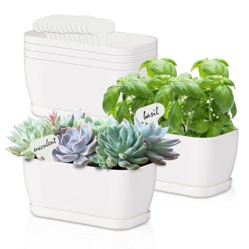 Oliz 6 Set Window Herb Planter Box Rectangular, White Plastic Planters with Multiple Drainage Holes and Trays,Indoor Succulent Cactus Mint Flower Pot for Windowsill, Garden Balcony - color: Off White