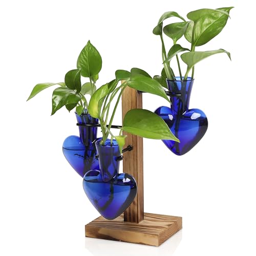 Plant Terrarium Propagation Stations with Wooden Stand - color: Deep Blue