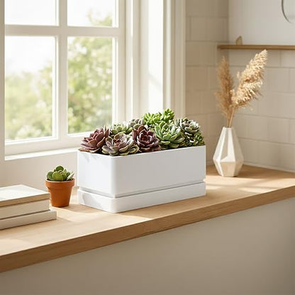 D'vine Dev Rectangular Planter, 12 x 6.5 in, White, 76-P-A-1 - color: White