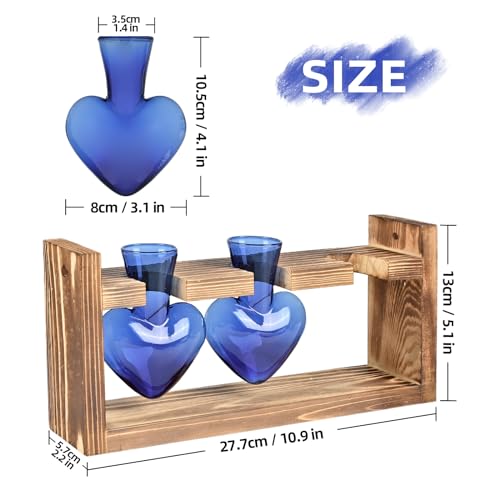 Plant Terrarium Propagation Stations Hydroponics - color: Blue