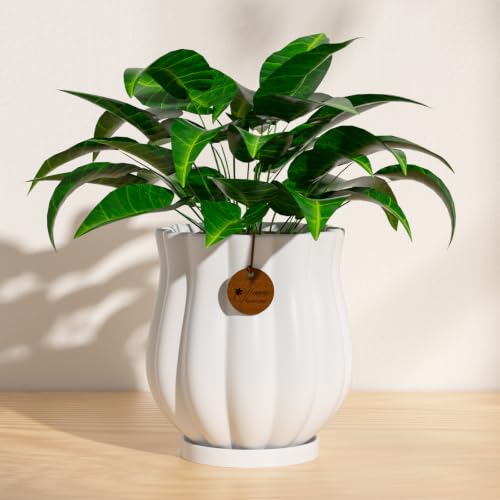 7.1" Matte White Ceramic Plant Pot with Saucer - color: Matte White, size: Large