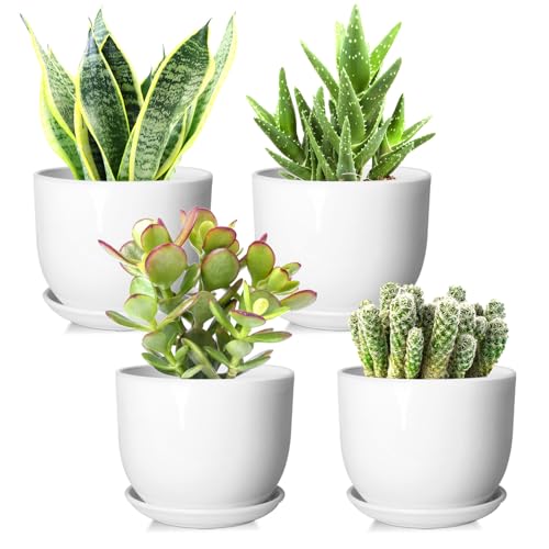Ceramic Plant Pots, White, 5.5 Inch, 4 Pack - size: 5.5 Inch 4 Pcs