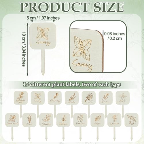 30 Pcs Wooden Plant Labels T-Type Herb Garden Tags with Printed Plant Name