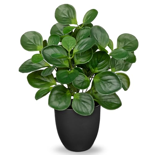 Villa Como 14.5" Artificial Plants Indoor Home Decor Faux Peperomia Plant - color: # Total Green