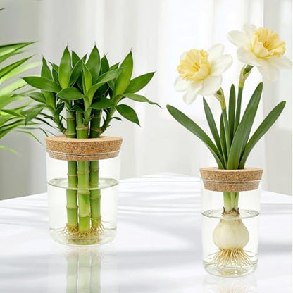 4 Pack Glass Plant Propagation Station,Desktop Vases for Home Office Decor