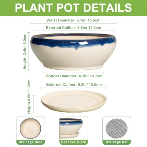 SQOWL Succulent Pots 6 Inch, Ceramic Bonsai Pots with Saucer, Blue-Beige - color: Blue-beige, size: 6 Inch