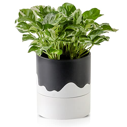 Nihow Ceramic Self Watering Plant Pot for Indoor Plants,6 Inch,Black White - color: Black & Wave White, size: 6" Self Watering