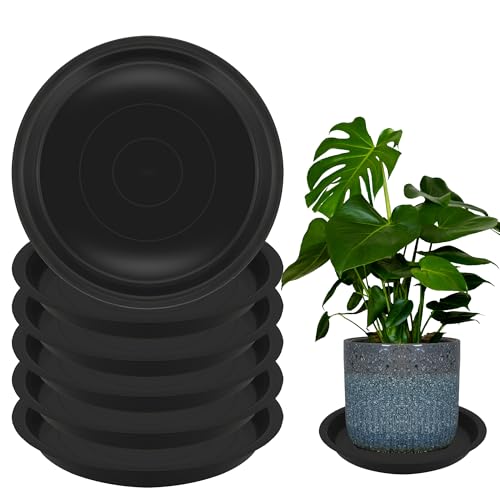 6 Pack 8 Inch Round Plant Saucers for Less 6.8 Inch Pot Indoors Outdoors Plant Trays for Pots Planter Saucer Plastic Plant Drip Tray Planter Water Tray for Potted Plants(Black, 8"(6pcs)) - color: Black, size: 8"(6pcs)