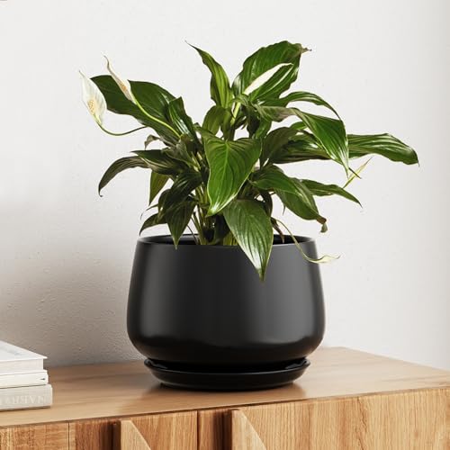 LE TAUCI Ceramic Planter, 10 Inch, Large Plant Pot, Indoor Plant Pot, Black - color: Black, size: 10"