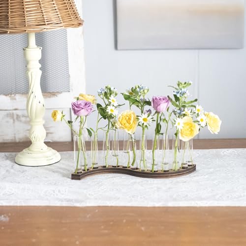 Test Tube Vases for Flowers，Small Plant Propagation Station，S Shape Plant Terrarium with Wooden Stand(Amber) - color: Amber