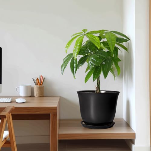Ceramic Pots for Plants, 10 Inch Plant Pot with Drainage, Black - color: Black, size: 10 Inch