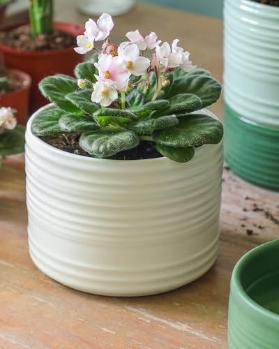 Fayoula Self Watering Pots for Indoor Plants, 6 Inch Ceramic Self Watering Plant Pot, Planter Pot with Wick Rope and Drainage Hole for African Violet Succulent Herbs (White Matte) - color: White Matte