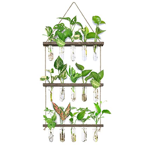 XXXFLOWER Wall Hanging Propagation Station with Wooden Stand 5 Glass Test Tubes 3 Tiered Planters Wall Terrarium for Home Office Plant Hanger Flower Vases Wall Decor Hydroponic Cuttings - color: Brown, size: 15 Tube Vases