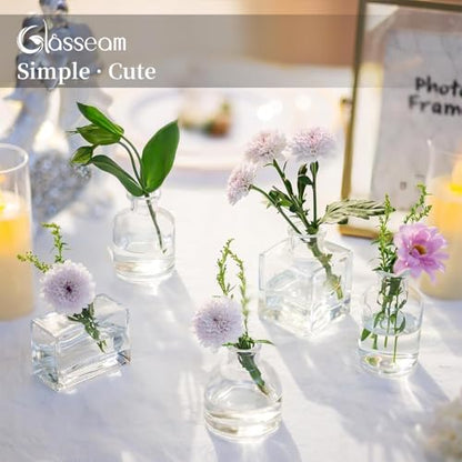 Glasseam Small Vases for Flowers, Clear Mini Glass Bud Vases Set of 5 - color: Clear, size: 5Pcs- Mini Vases