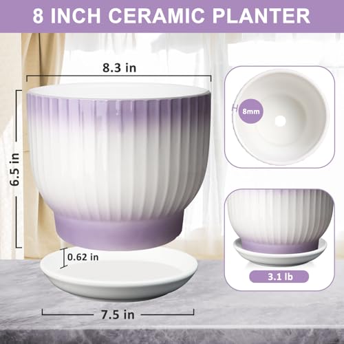 8 Inch Ceramic Plant Pot,Purple + White - color: Purple + White, size: 8 Inch(1 PCS)