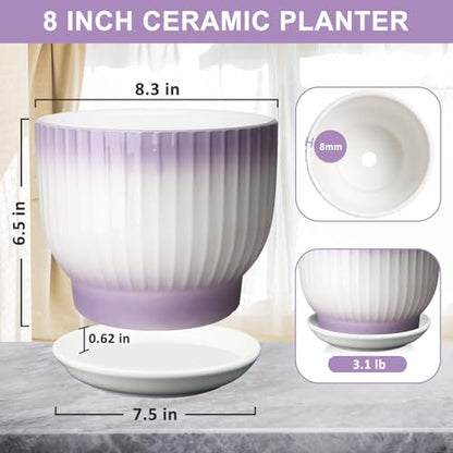 8 Inch Ceramic Plant Pot,Purple + White - color: Purple + White, size: 8 Inch(1 PCS)