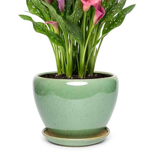 9.5 Inch Ceramic Plant Pot with Drainage Hole Mesh Net,Modern Gardening Pots for Indoor Plants with Saucer, Crackle Green - color: Crackle Green, size: 9.5 Inch