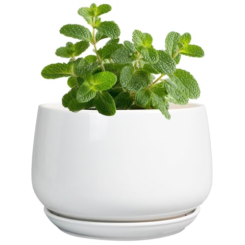 G EPGardening Ceramic Plants Pots - 4 inch Succulent Pots for Indoor Outdoor, Small Planter with Drainage Hole & Saucer, Round Planter, Modern Flower Pot, Office Decor, Plant Lovers Gifts, White - color: White, size: 4 Inch