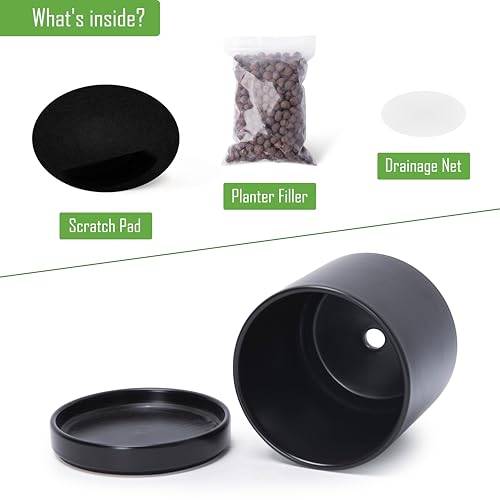 D'vine Dev 2-Pack Ceramic Pots with Saucers, Black, 4/6 in, 94-G-S-2 - color: Black, size: Small