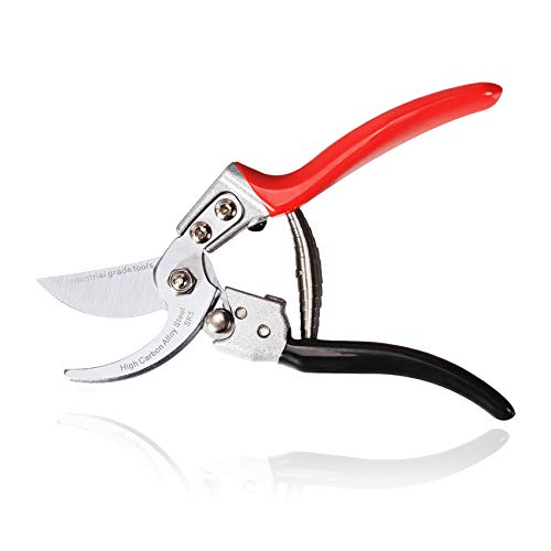 TONMA 8.2" Garden Shears, Made in Japan, Pruning Shears for Gardening, TP-2 - size: 8.2 inches