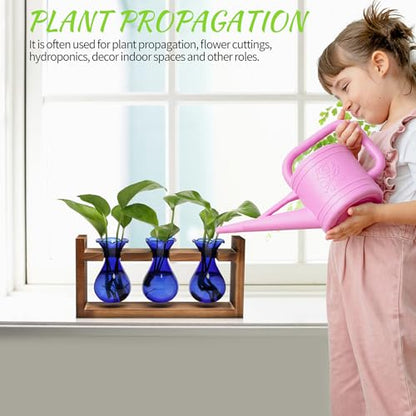 Plant Propagation Station Plant Terrarium Unique Birthday Gifts for Women - color: Blue