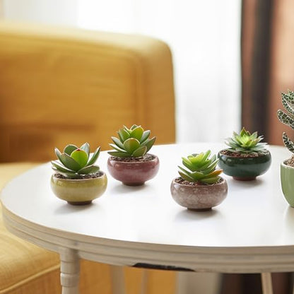 T4U Mini Succulent Pots, Small Shallow Ceramic Pots, Retro Gift Set of 6 - size: Small
