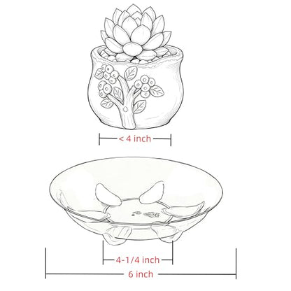 6 Pack Clear Small Tray for Succulent planters Plastic Plant Saucer Sturdy Pot Tray,Plant Water Catcher Clear Thick Plastic Heavy Duty Plant Sturdy Saucer Drip Trays for pots (6 INCH) - size: 6 INCH
