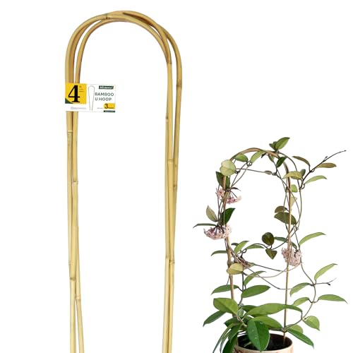 Jollybower Natural U-Hoops Bamboo Plants Trellis 4Ft, Garden Trellis U-Shape for Climbing Plants, Garden Arch Support for Potted Plants, Vines, Ivy Climbing Plants, Flowers-3 Pack - size: U-Shaped 4Ft