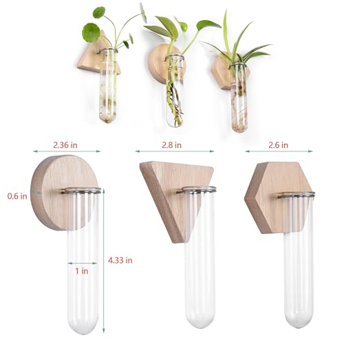 Wall Hanging Glass Planter Plant Propagation Station