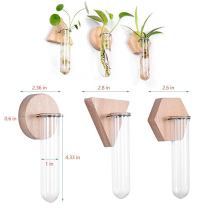 Wall Hanging Glass Planter Plant Propagation Station