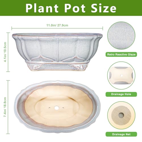11 Inch Bonsai Pots - Ceramic Bonsai Planters for Indoor Outdoor Plants, Succulent Pots with Drainage Hole, Shallow Planter, Decorative Flower Pot, Home Decor, House Warming Gifts, Oval Grey - color: Oval Grey, size: 11 Inch