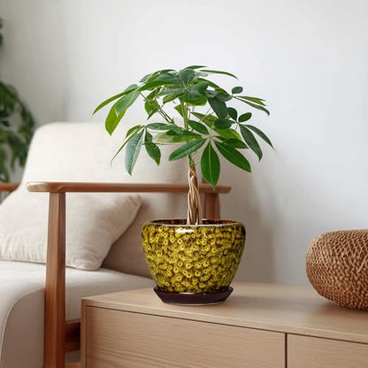 6 Inch Ceramic Plant Pot, Yellow Leopard - color: Yellow Leopard, size: 6 Inch