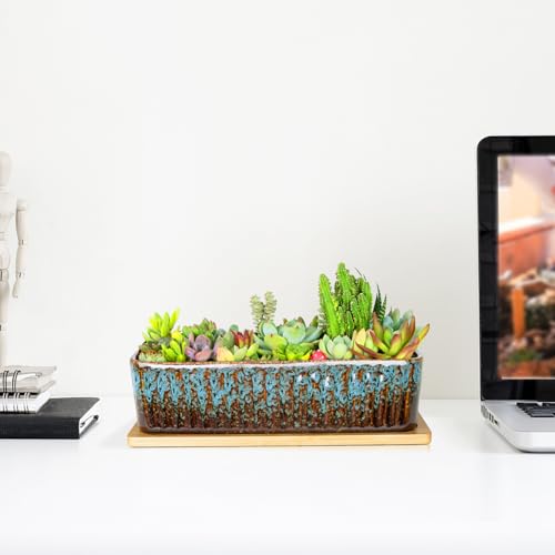 Succulent Pots, 12'' Long Rectangle Planters with Tray, Windowsill Planter - color: Blue