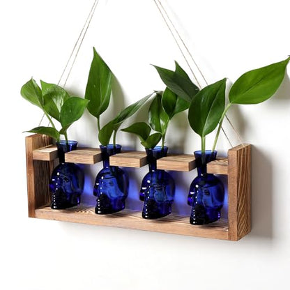 Plant Propagation Stations Halloween Skull Plant Terrarium Kit - color: Blue